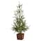 28" Unlit Alpine Artificial Potted Christmas Tree